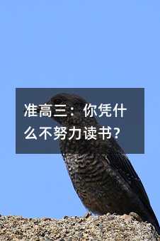 准高三：你凭什么不努力读书？